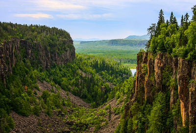 Canyon-des-Grands-Pins.jpg
